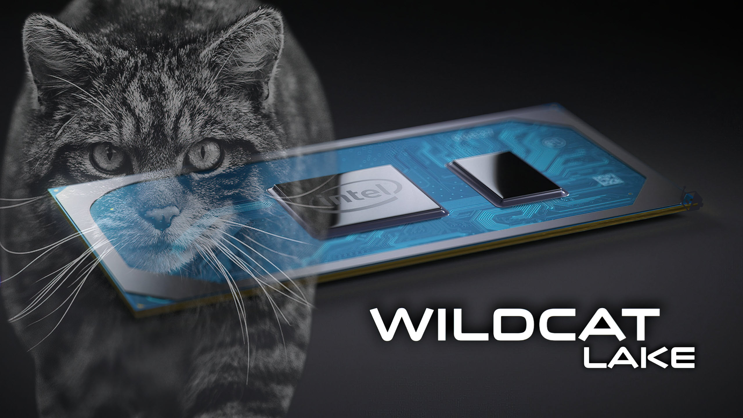 Intel Wildcat Lake CPUs Ditch Ray Tracing, Target Budget Laptops with Xe3 and AI Boost