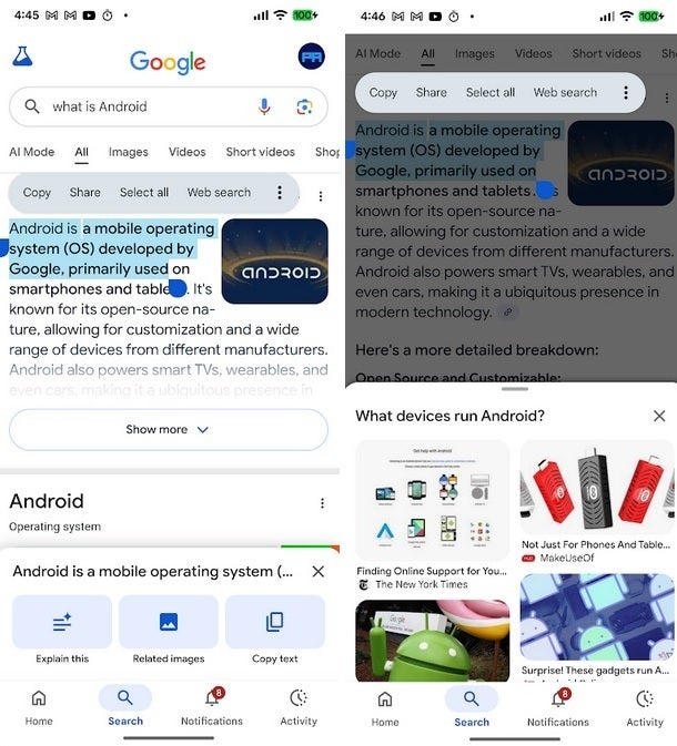 Descubre los nuevos botones interactivos en la visión general de IA de Google Search