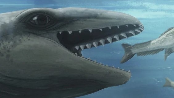 Scientists Discover Prehistoric Whale That Looks Like a Pokémon