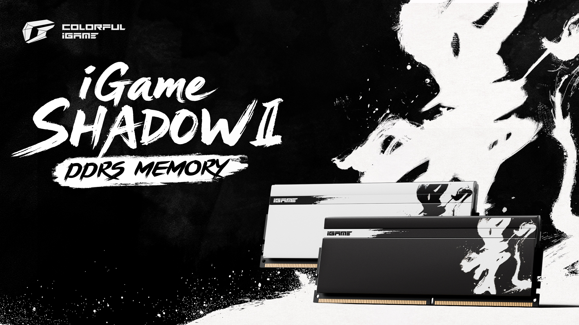 Colorful iGame Shadow II DDR5 Reaches 9600 MT/s on AM5 Platform