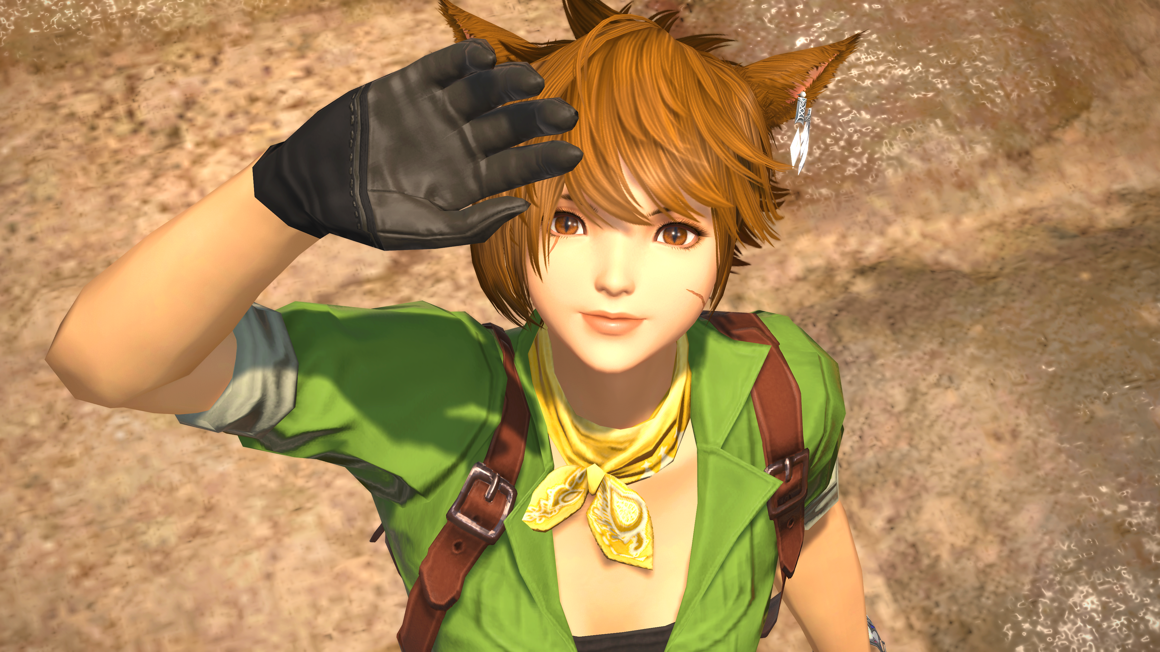 В Final Fantasy 14 снова спорят о модах после закрытия Mare Synchronos В Final Fantasy 14 снова спорят о модах после закрытия Mare Synchronos